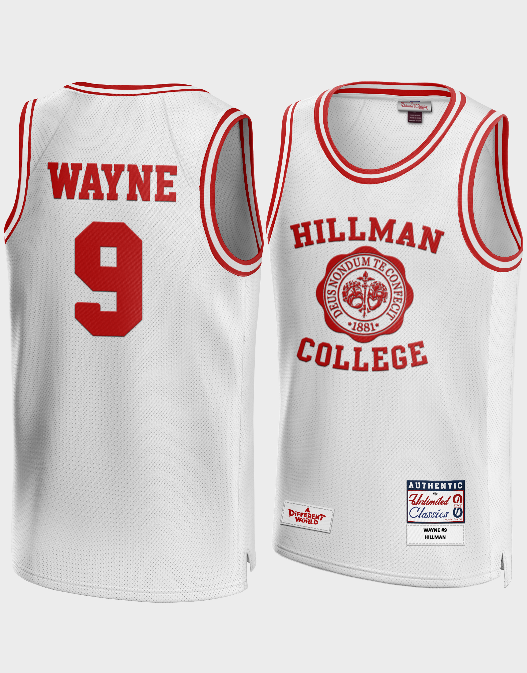 Dwayne Wayne Hillman College Basketball Jersey – The Jersey Nation